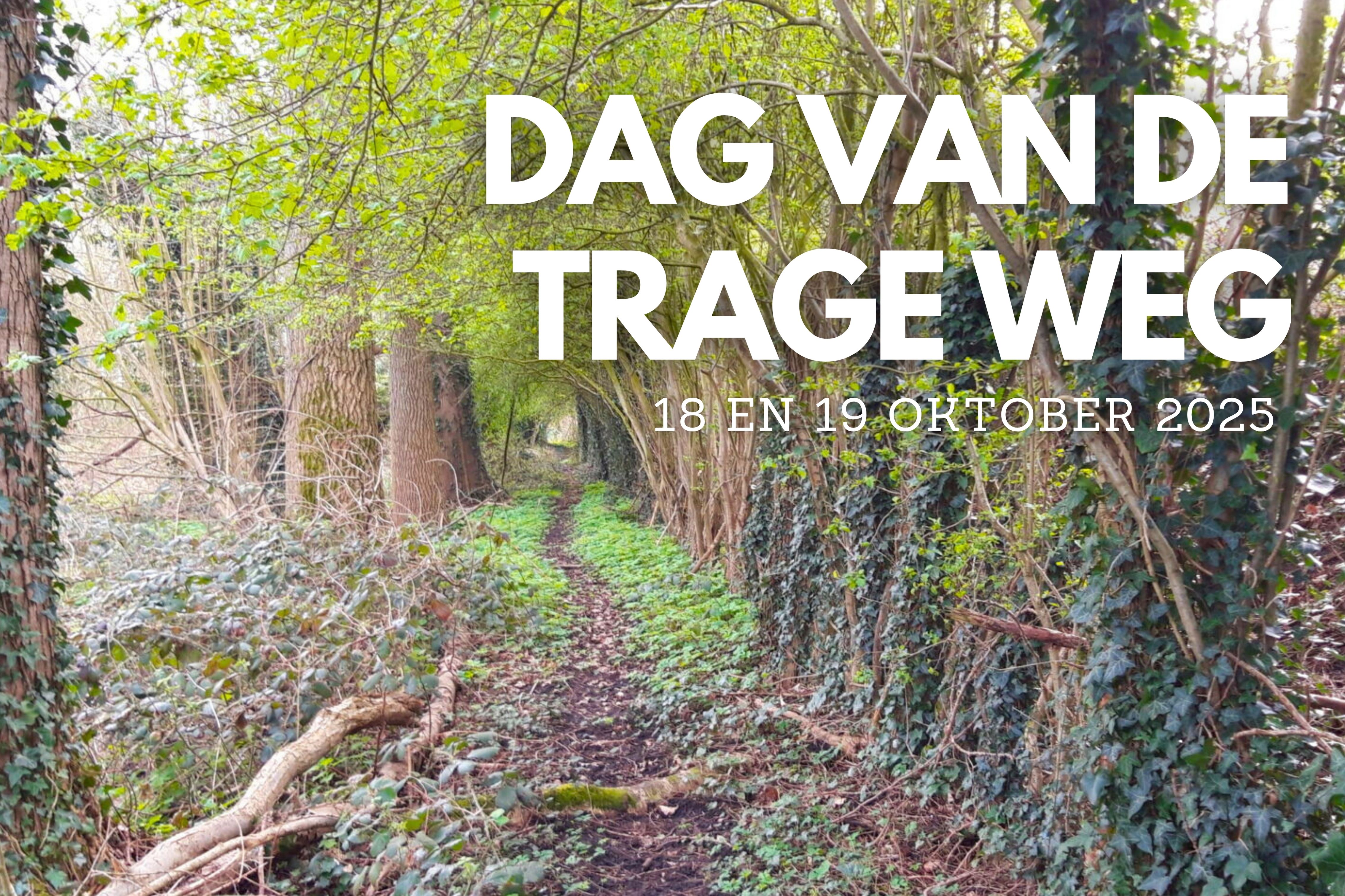 DAG VAN DE TRAGE WEG